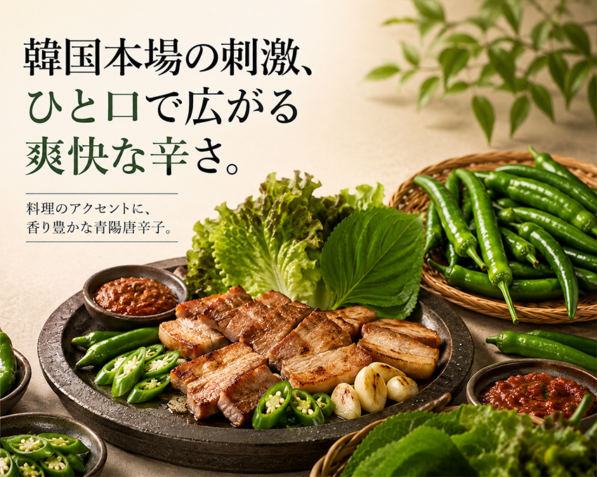 ��ħ�Ҳ�