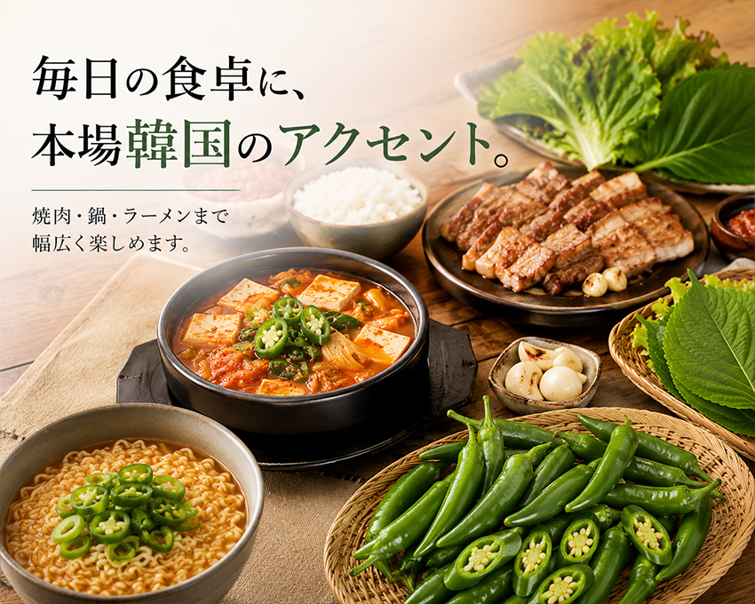 ����󥸥쥷��
